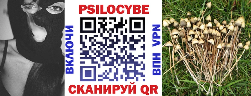 Галлюциногенные грибы Psilocybe  где найти наркотики  mega сайт  Усть-Илимск 