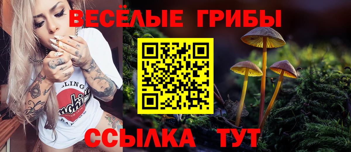 Псилоцибиновые грибы прущие грибы Усть-Илимск